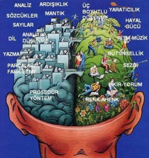 Beyninin Hangi Lobunu Kullanıyorsun?..