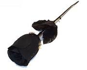 black rose