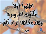 ابعت آيات لاصحابك