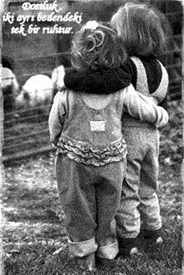 Dost Mu? 
