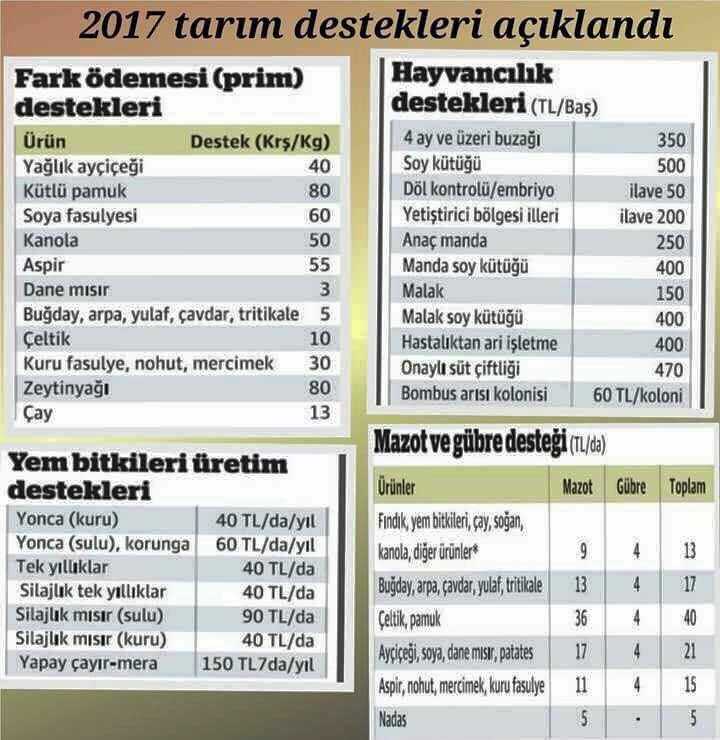 Sen Hangi Wwe Dövüşçüsüsün