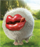 K.Kevinx Kiss Friends 