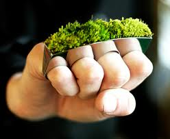 Moss Knuckles