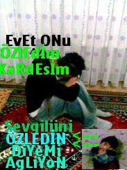 Diyar