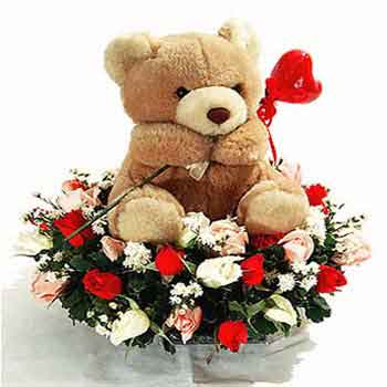 teddy