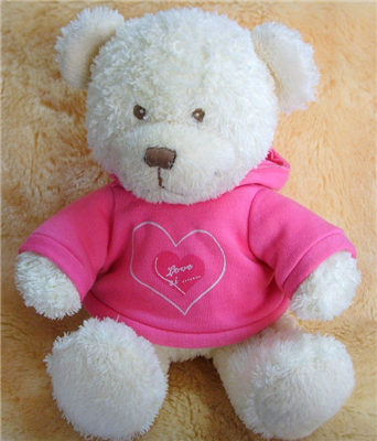 teddy