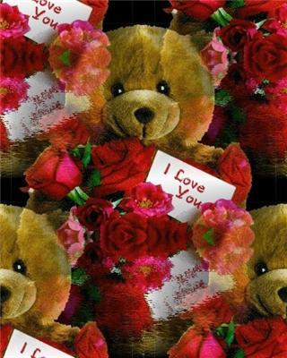 teddy
