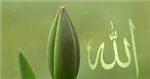دردشة ودية