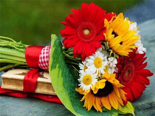 beautiful fresh flowers