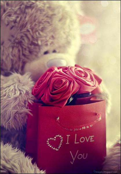 i love you cute teddy