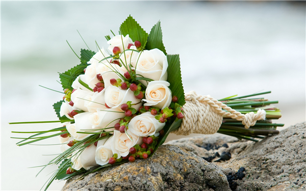 white roses