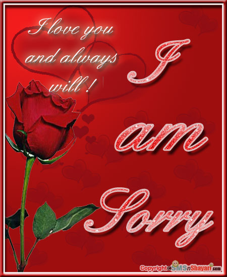 i am sorry