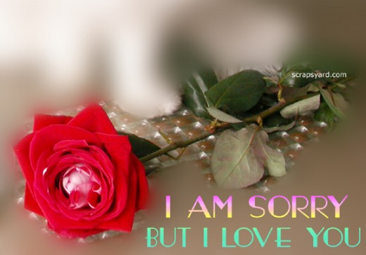 i am sorry but i love you