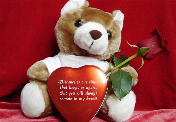 teddy with red rose and cute love saying