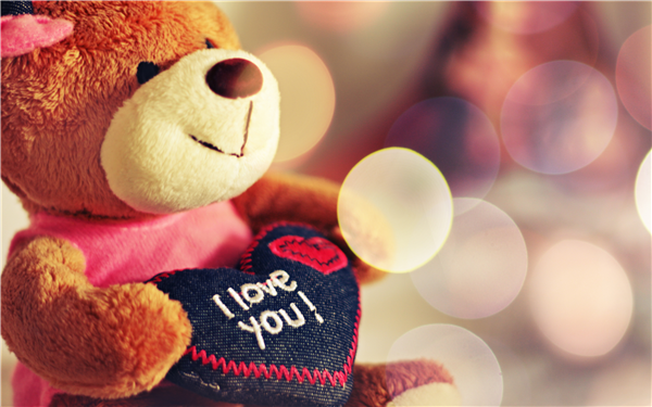 i love you teddy