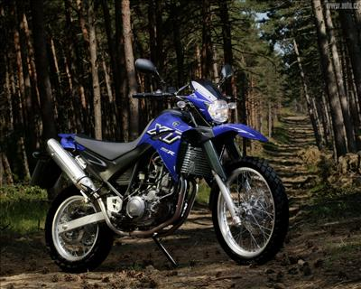 Motosiklet & Otomobil