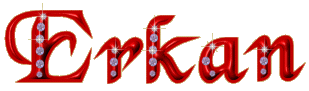 Erkan