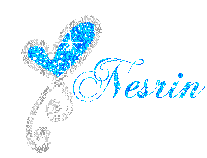 Nesrin