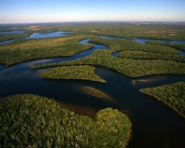 Florida Everglades