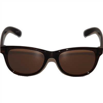 Les Lunettes Wayfarer