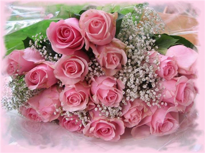 Roses