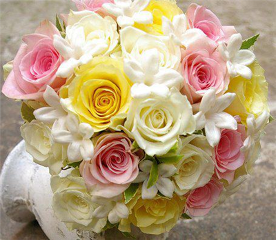 Sweet Rose Flowers