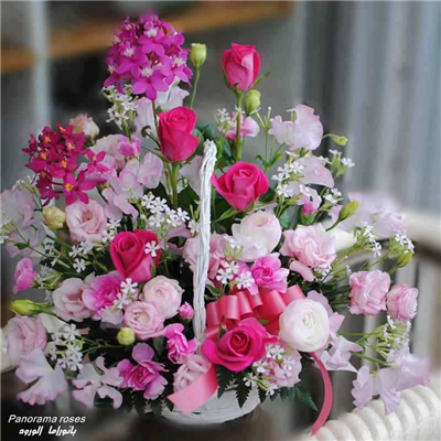 Sweet Rose Flowers
