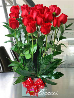 Good evening