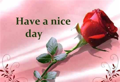 Have a nice day