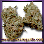 Weed Dealer