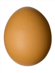 Egg