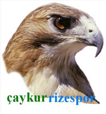 Ne Kadar Rizeli'sin ?