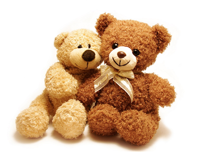 Cute Bear