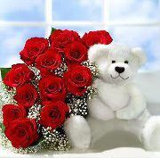 Cute Bear