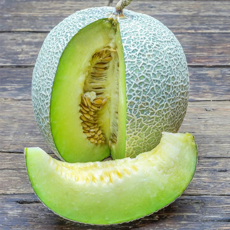 Melon