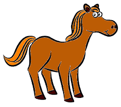 pet horse