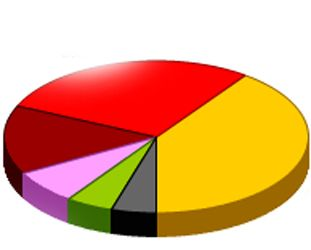 2014 Çekerek Yerel Seçim Anketi