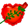 MORNING ROSE