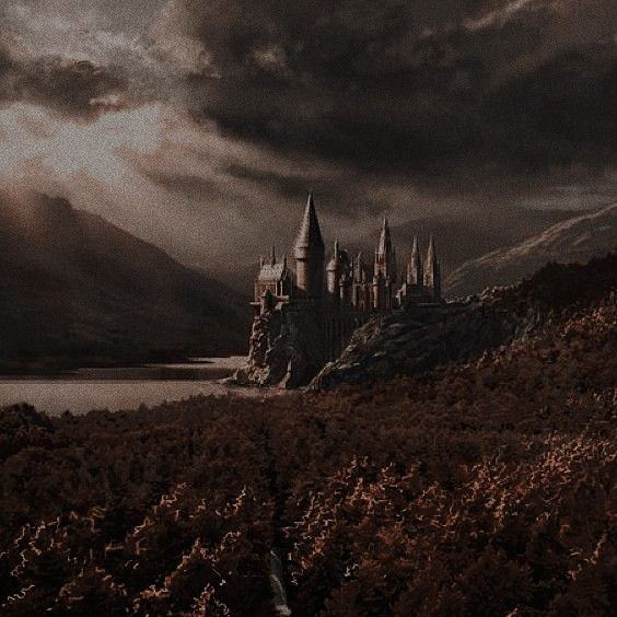 Hangi Harry Potter Karakterisin?