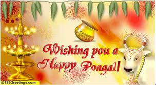 happy pongal