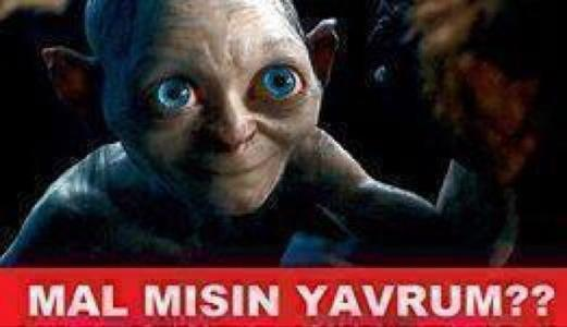 Mal Mısın ?