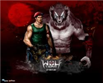 Wolfteam