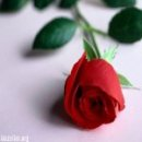 Emre İlbars