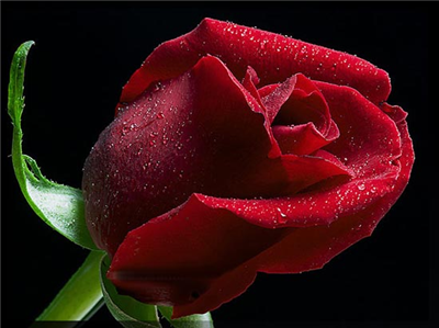 Dj_SaRiKiZ
