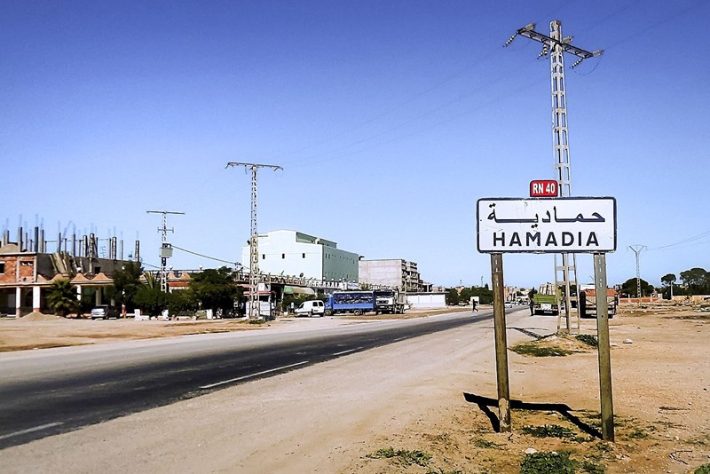 Hamadia