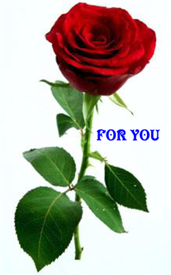 ♥ ROSE LOVE ♥
