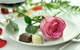 ♥ SWEET & ROSE ♥