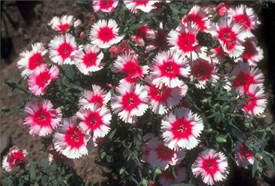 for u