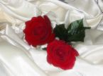 Flowers For Friends