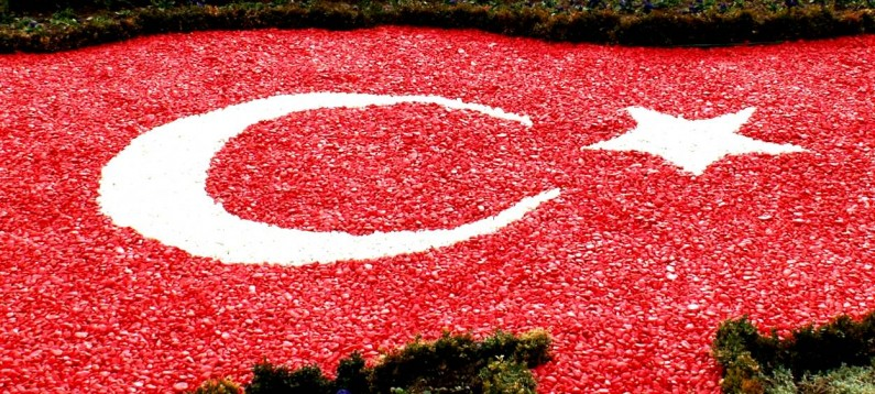 Büyüdüğünde Ne Olacaksın